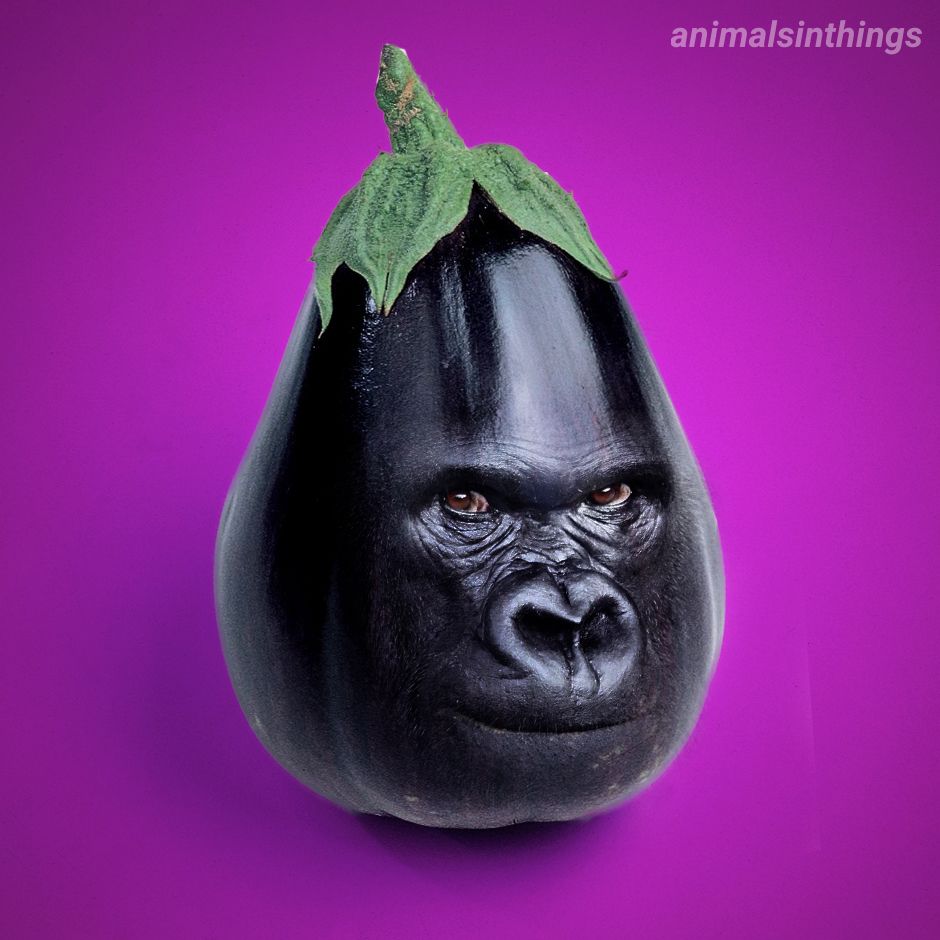 I photoshopped a Gorilla into an Eggplant for your viewing pleasure.