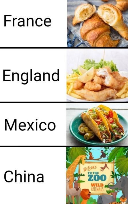 Includes human foetuses