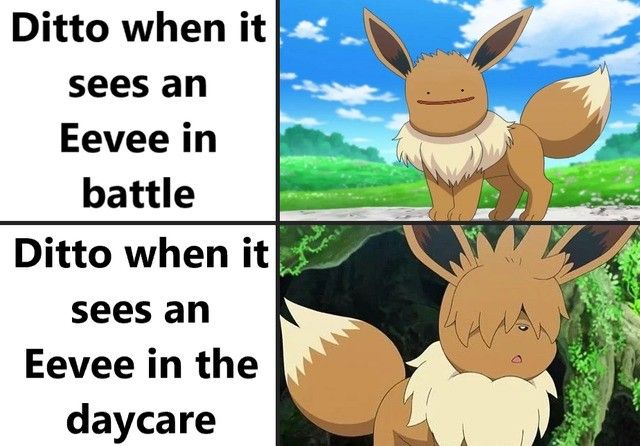 can pokemon get STDs?