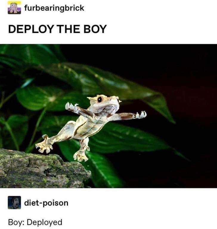 All personnel to their station. The boy is coming