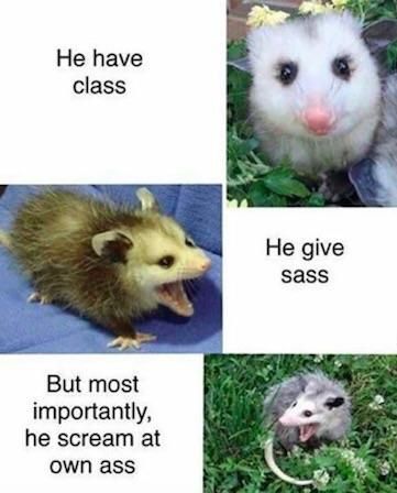 Is it opossum or possum?