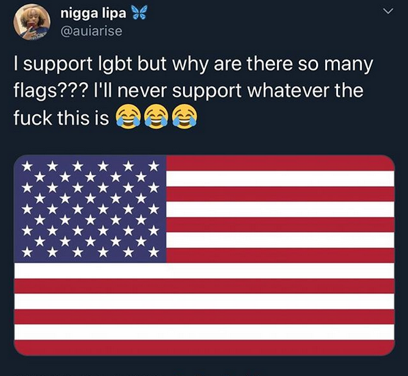 Amerikkka destroyed.