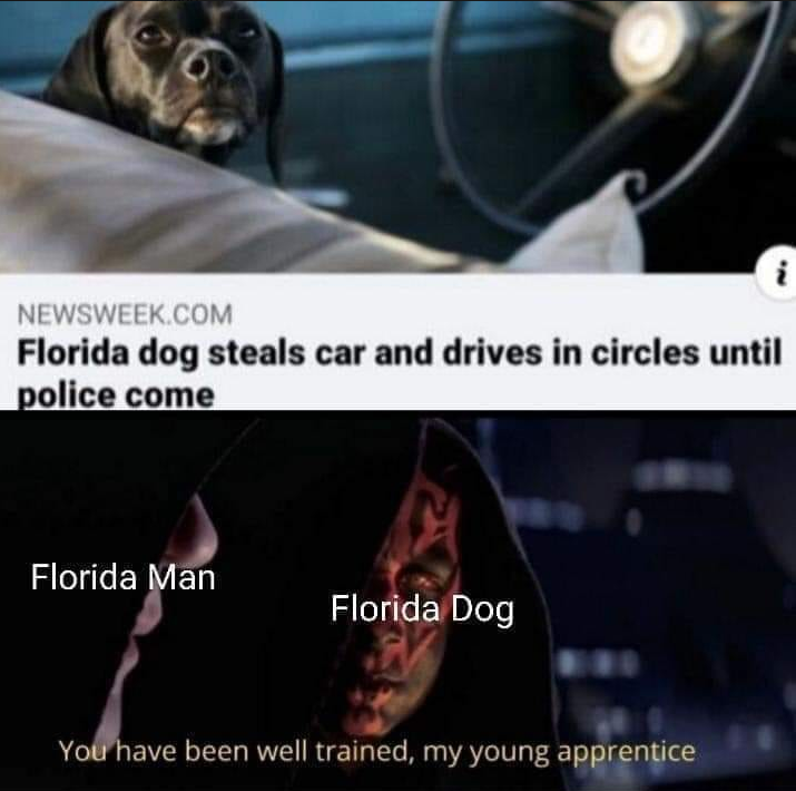 madlad
