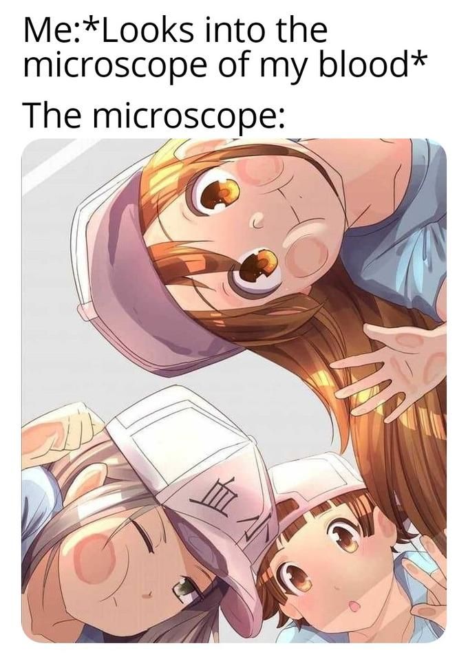aww