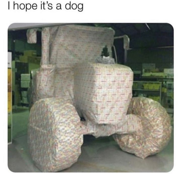 Surprise
