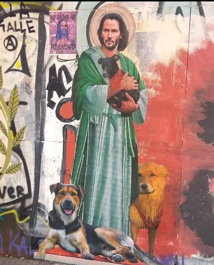 In case you're having a bad day, hero you have a Keanu Reeves, pastor of doggos. Somewhere in Santiago, Chile.