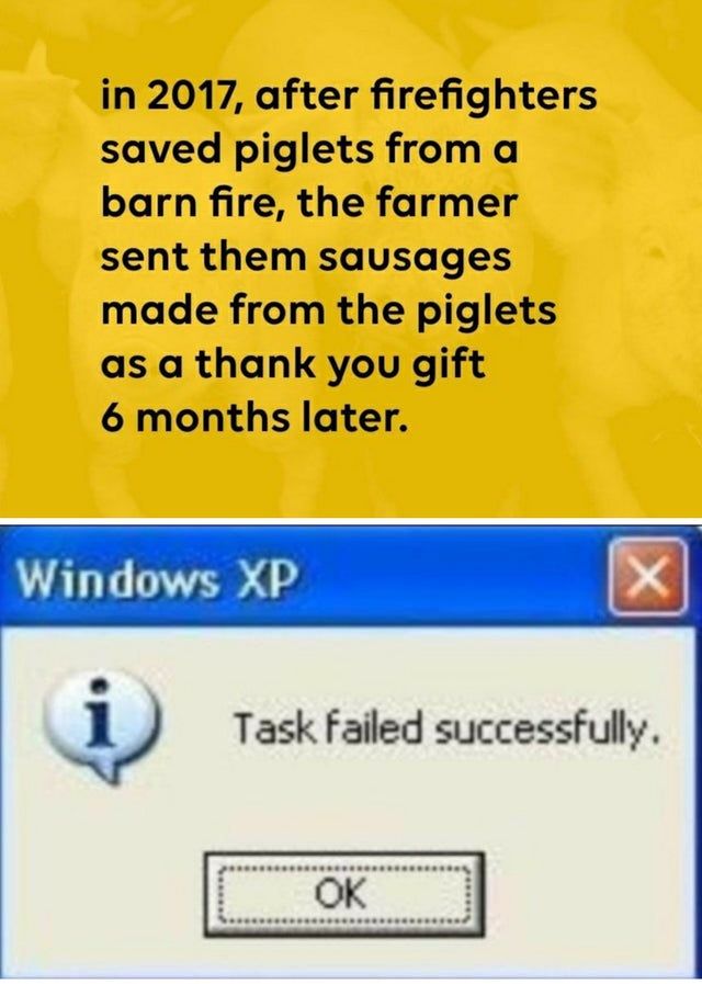 what a gift.