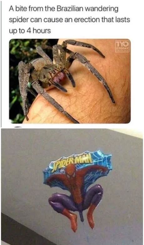 Bitten by a spider