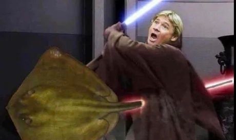 Nooooooo!
