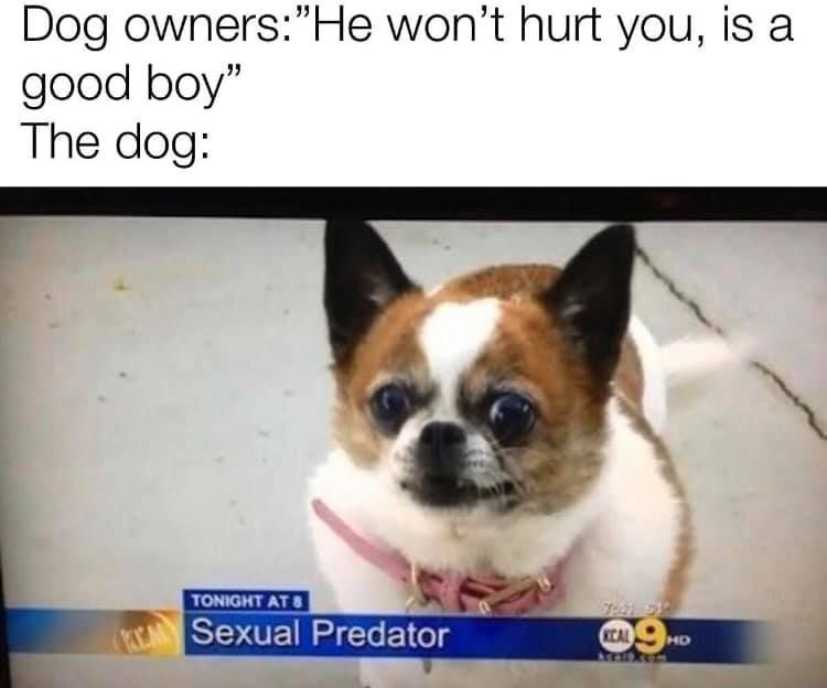 *** this dog...no wait, DONT *** this dog