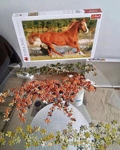 First time completing a puzzle... this shit is easy
