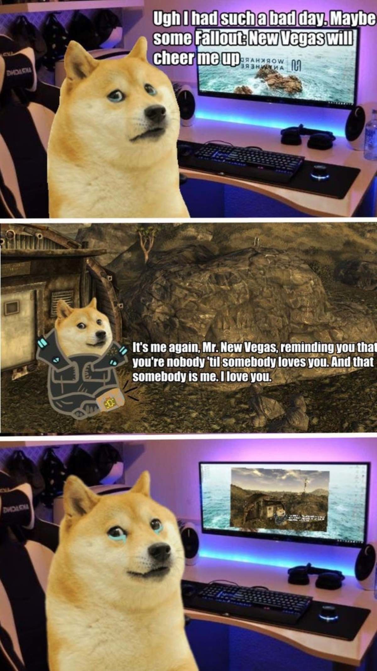 thanks mr new vegas