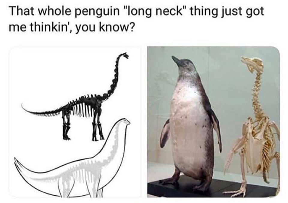 thiccneckbois