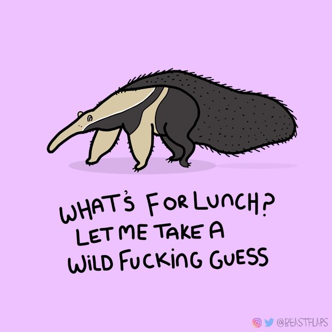 day 45 of drawing a grumpy animal every day. grumpy anteater