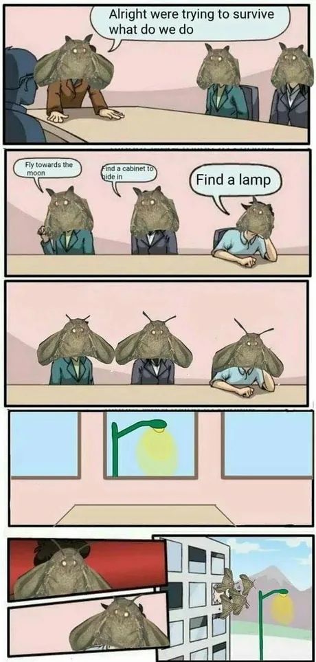 Lämp