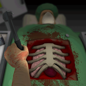 Surgery Simulator 2013