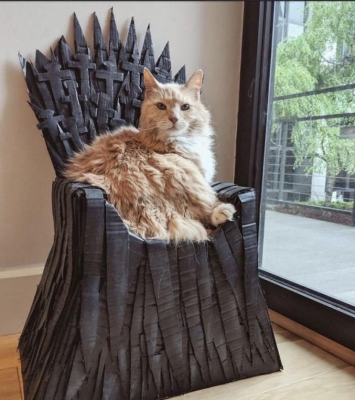 The True King of the Iron Throne