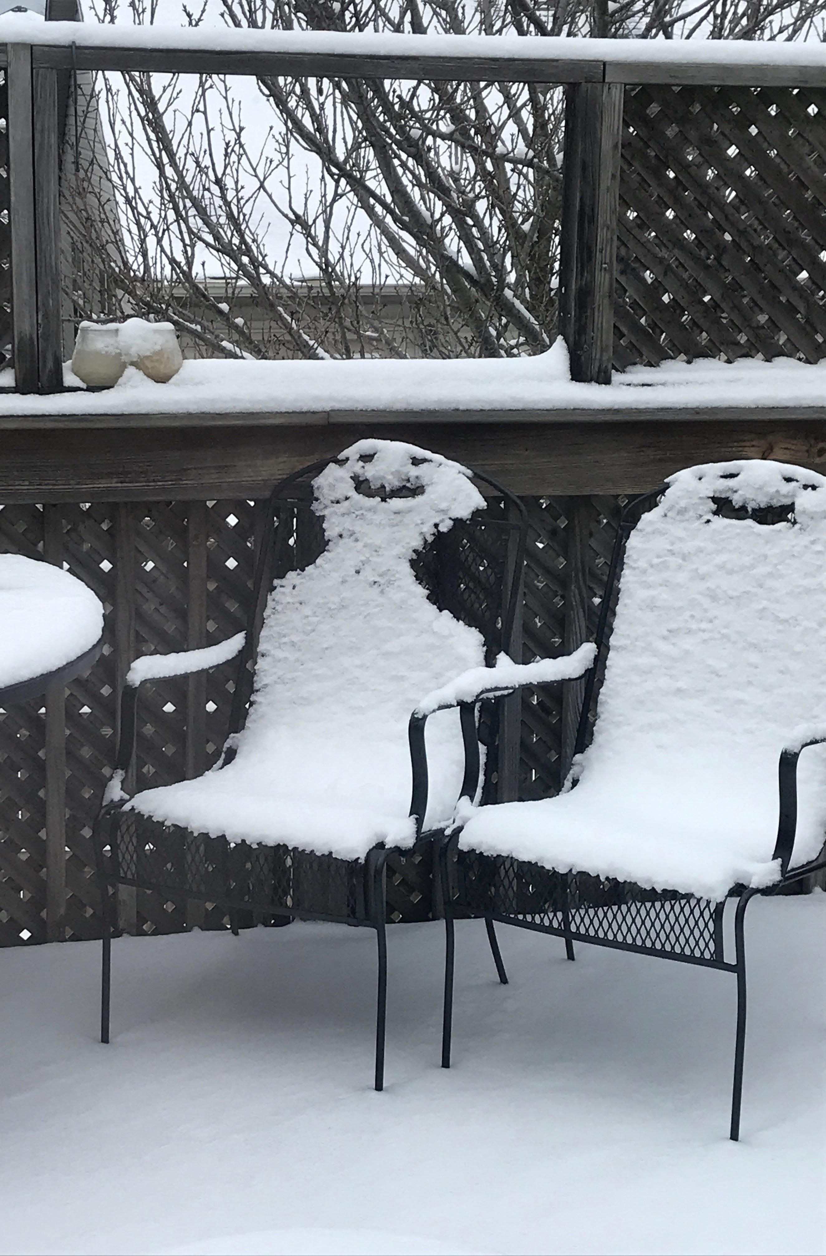 Woke up to these two sharing a laugh on my patio.