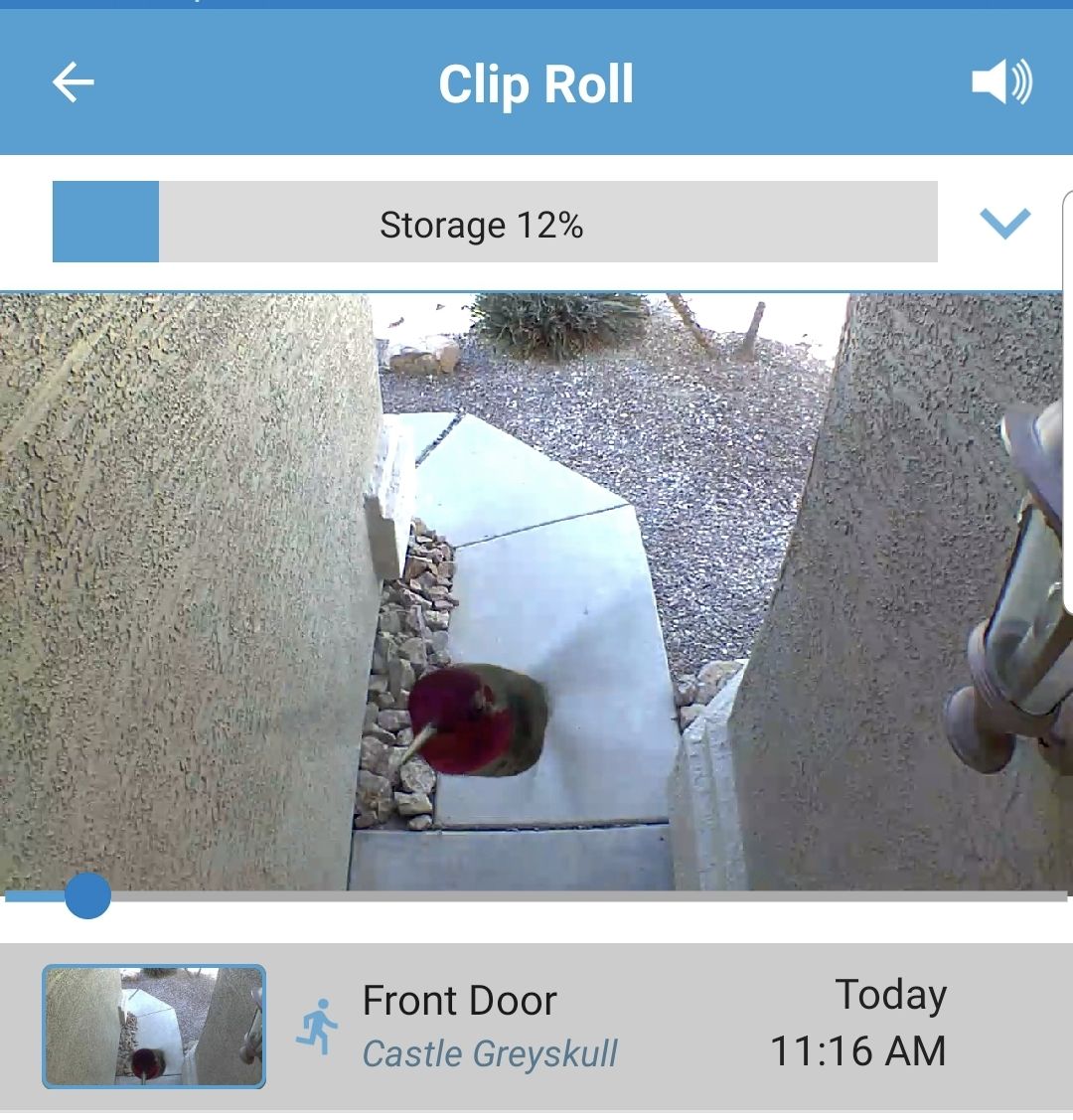 Finally found out whos been triggering my front door camera.