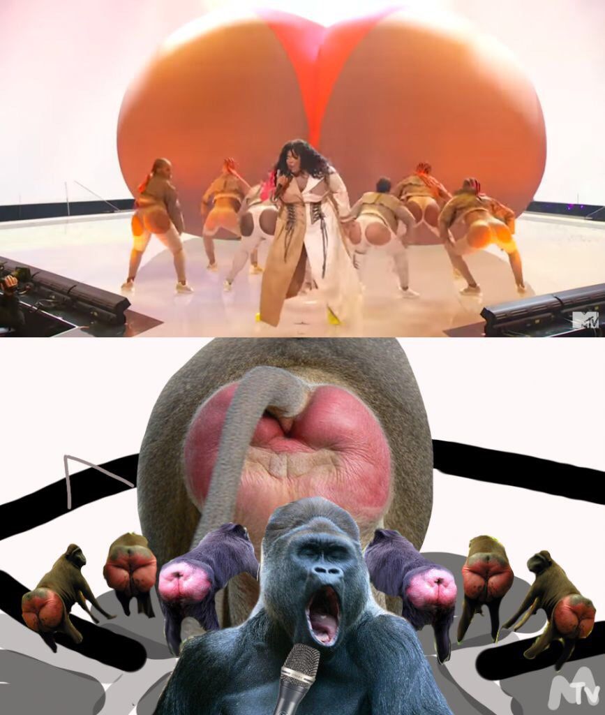 monkey tv