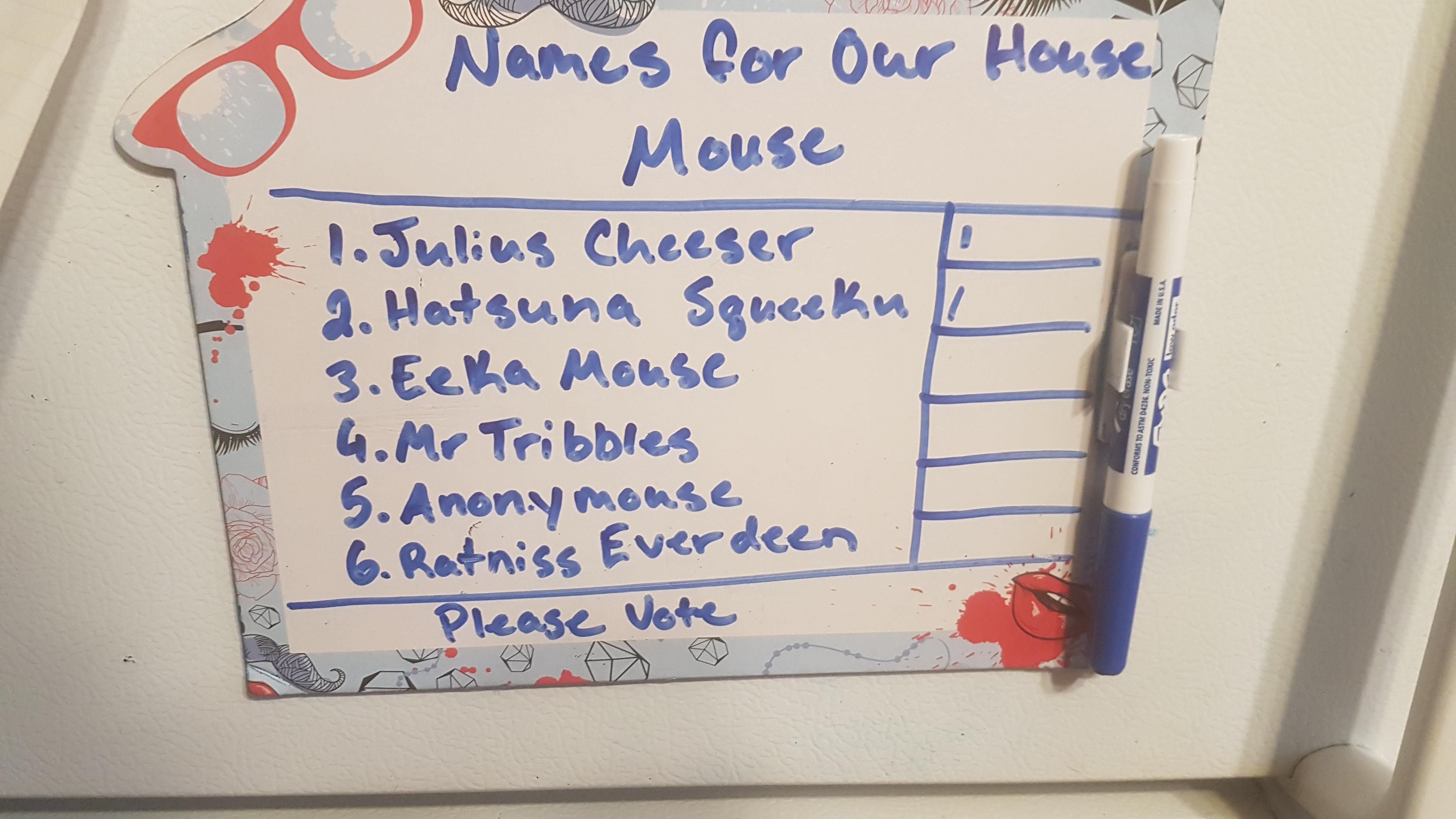 My girlfriend has a mouse in her house, so her cousin took it upon himself to do what was necessary