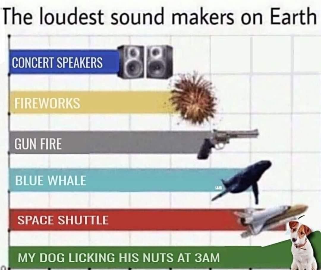 It's so loud