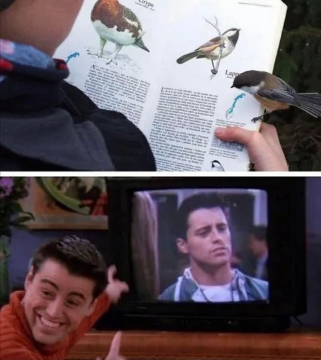 Look Ma!