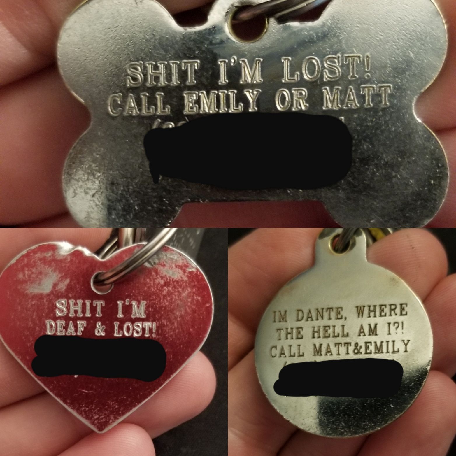 My dogs' tags