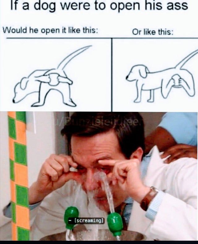 I'm sorry.