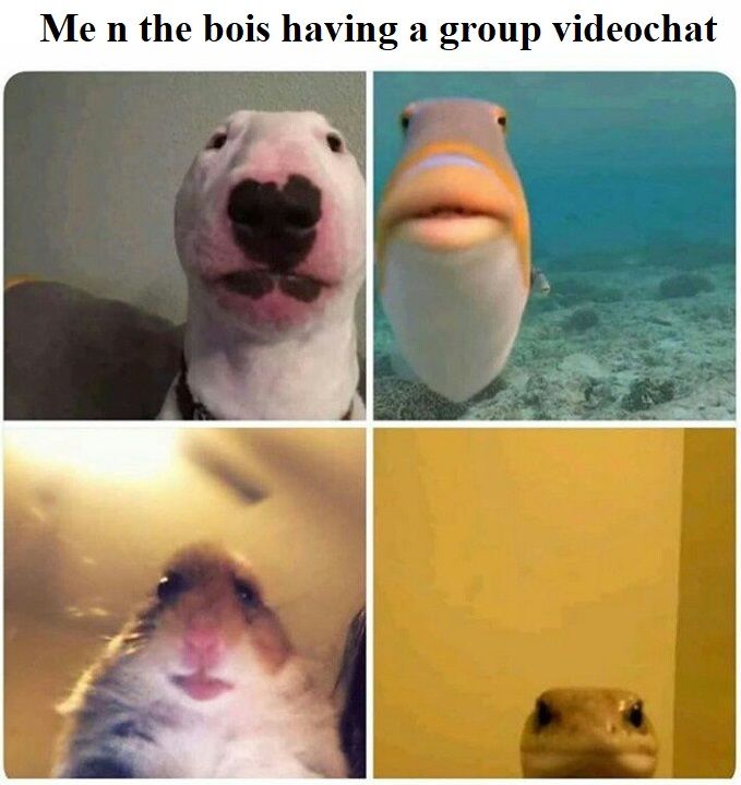 haha yea