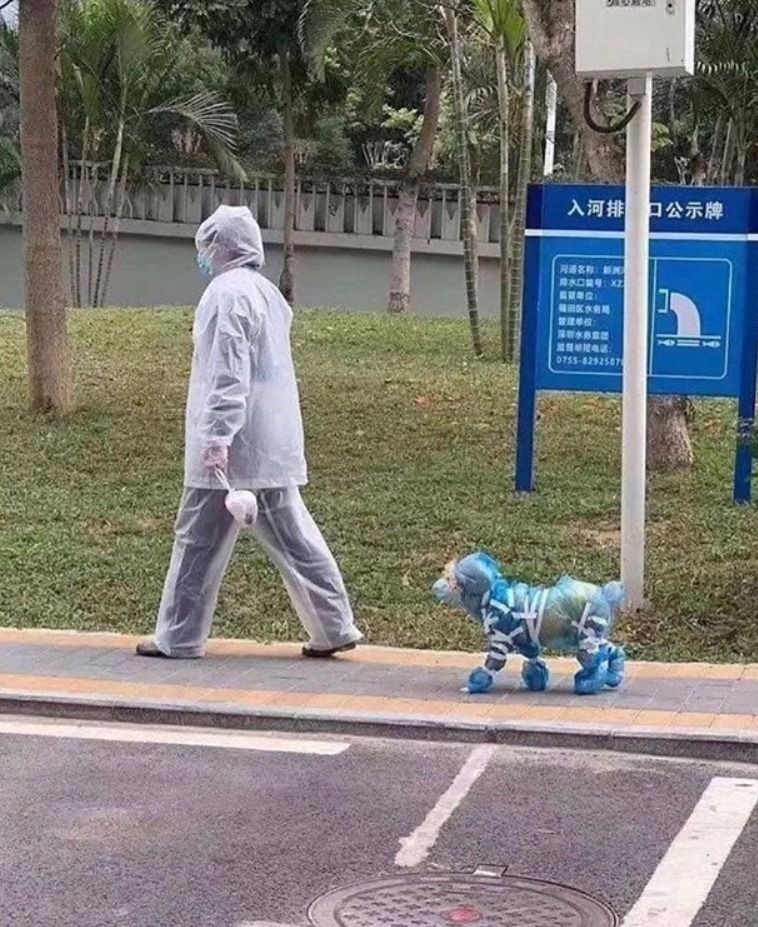 These doggie bags are weird