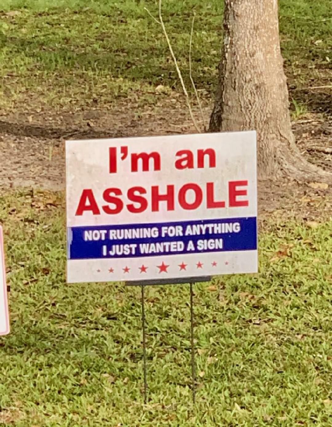Saw this gem in a yard in Houston.