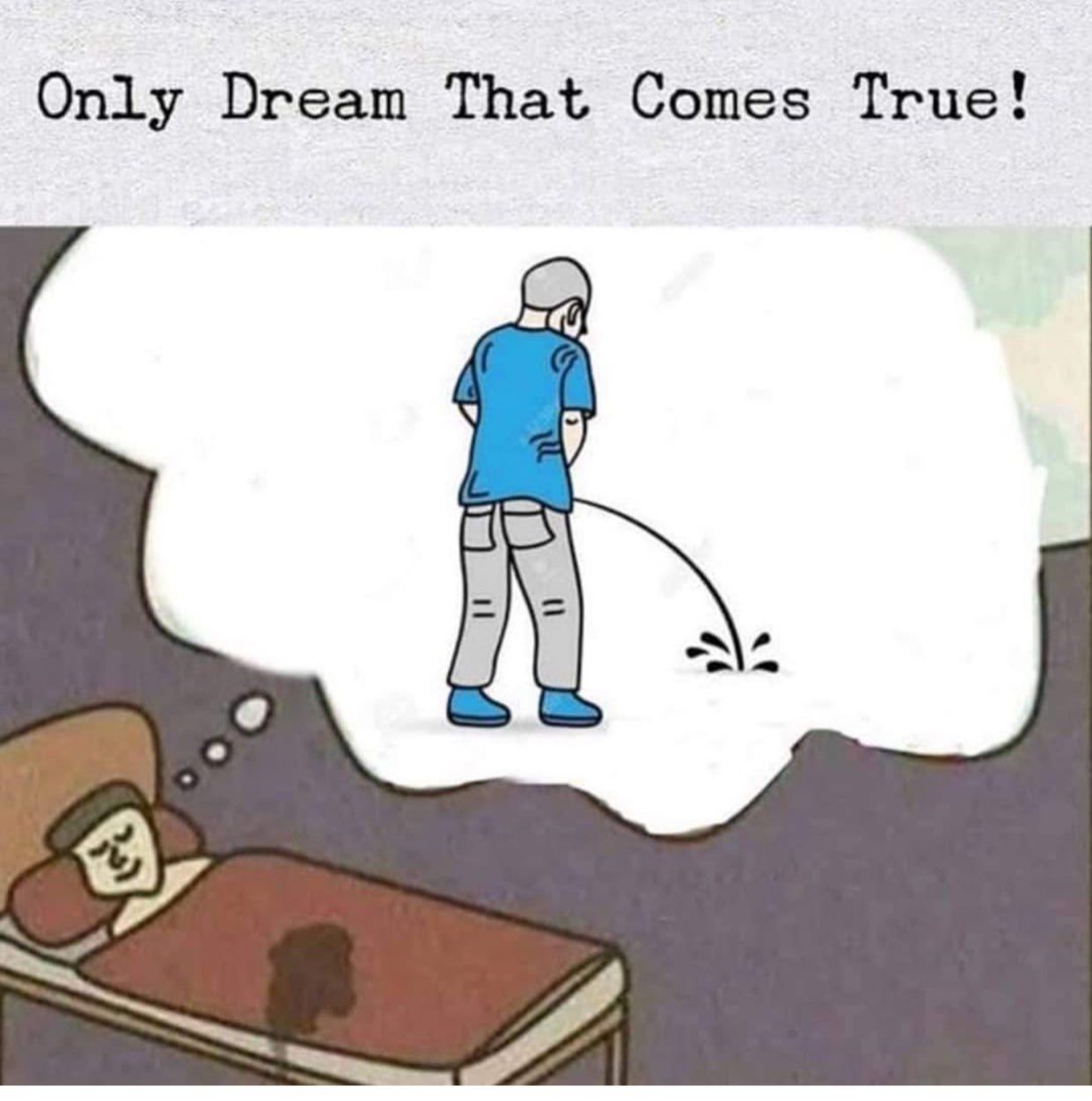 Only dream that comes true