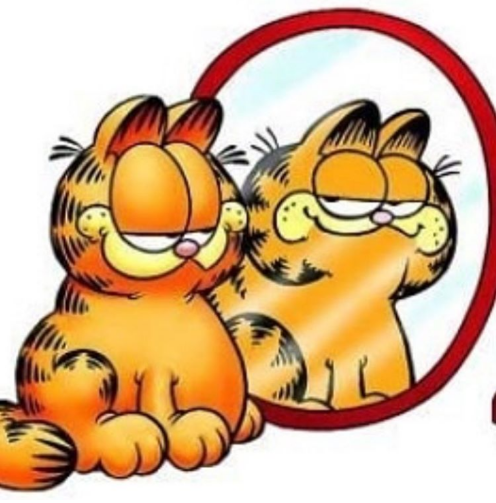 Looking in the mirror, al I see is pain