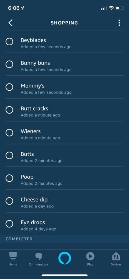 My kiddo figured out how to add items to the shopping list via the Echo Dot.
