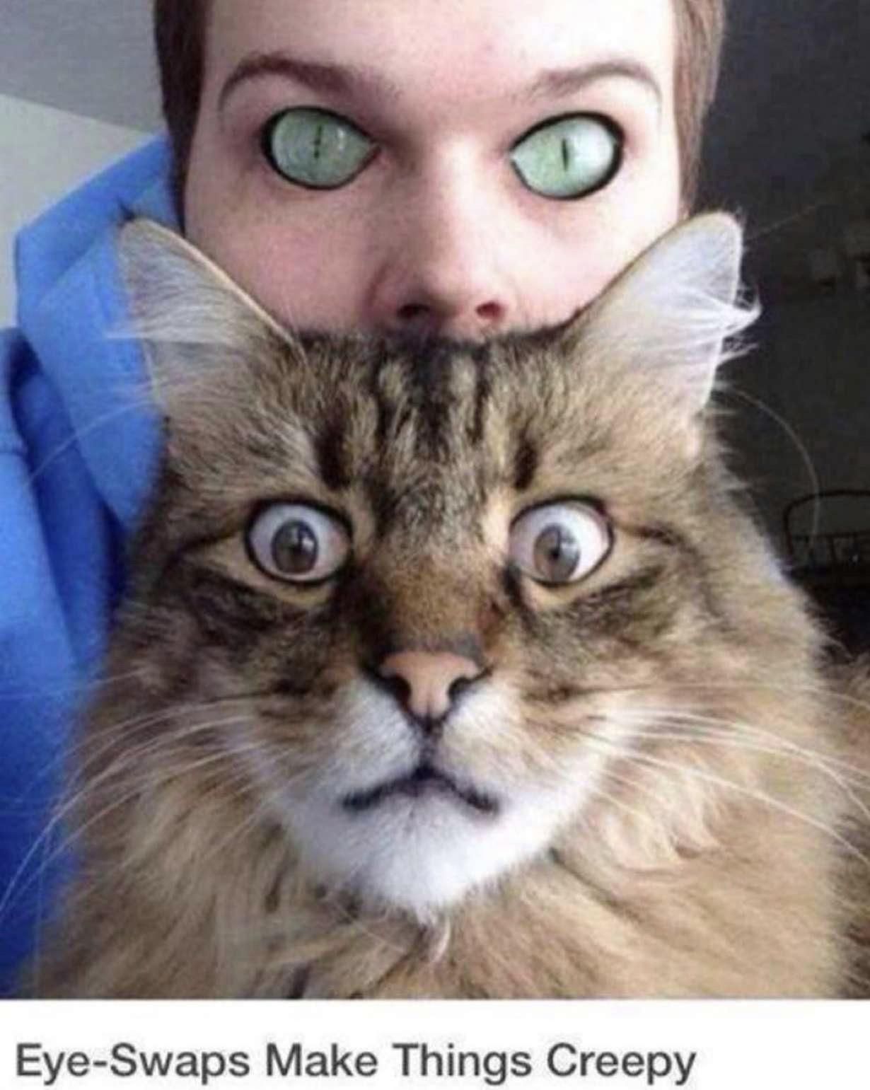 if we had cat eyes and they had human eyes... scary.