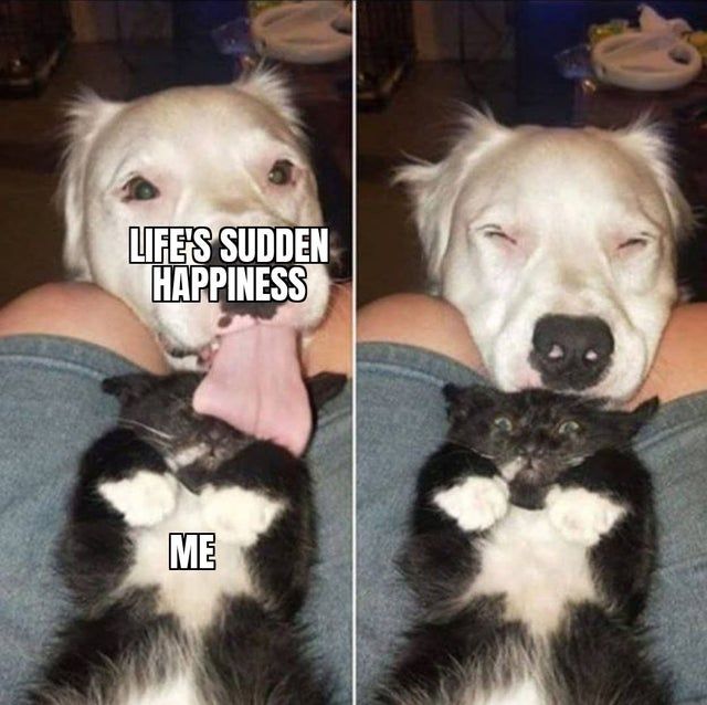 AAAAAAAAAAAA