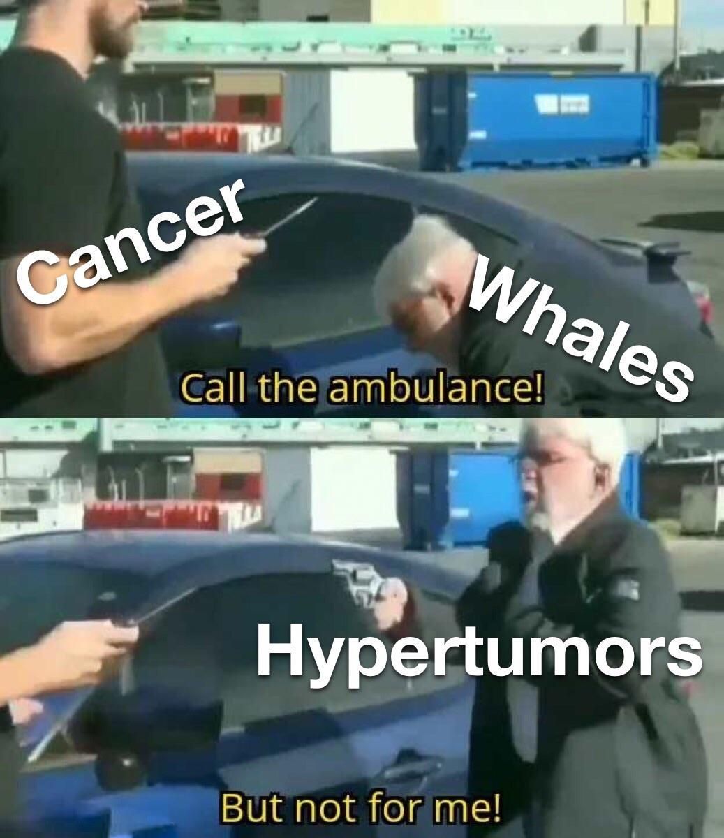 fight cancer with cancer