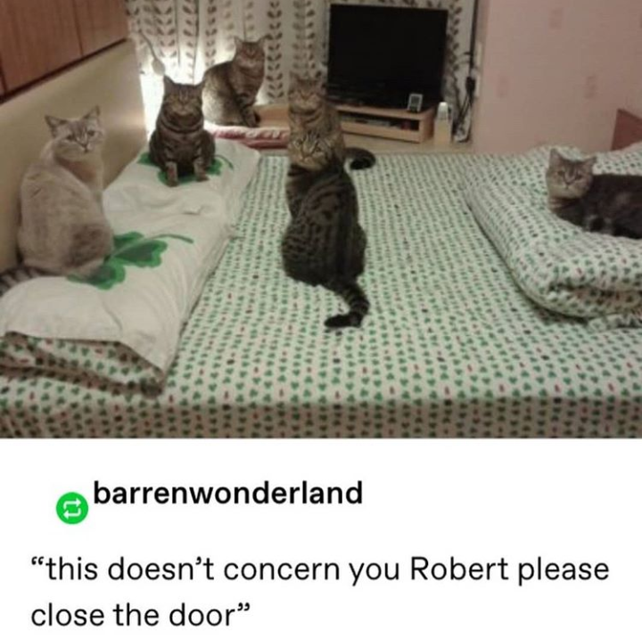 Robert,get outta here