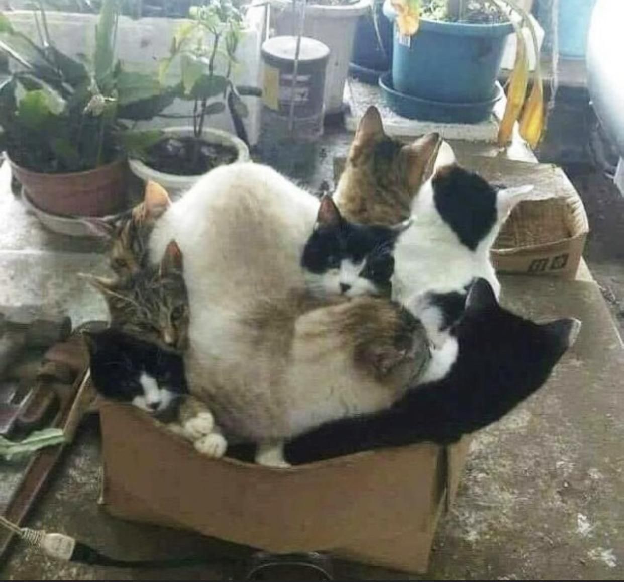If one fits we all fit