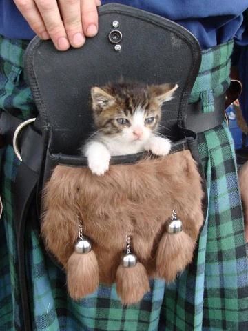 Finally found out what the little pouch is for if you wear a kilt.
