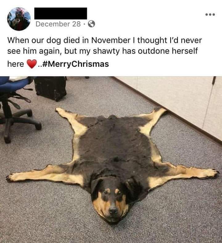 cute doggo
