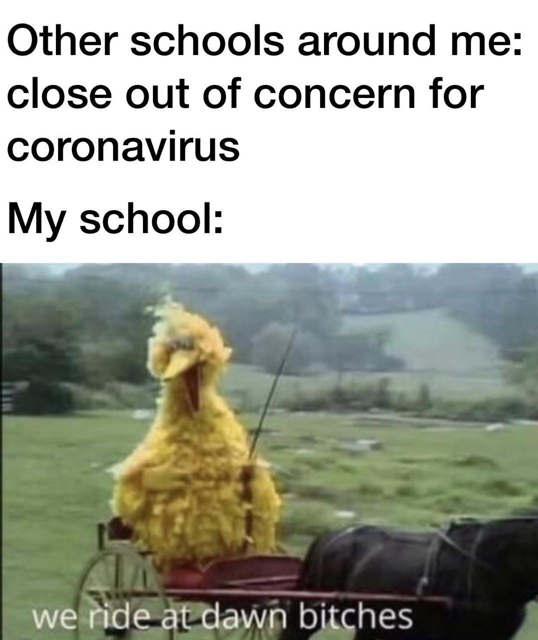 I love sesame street memes