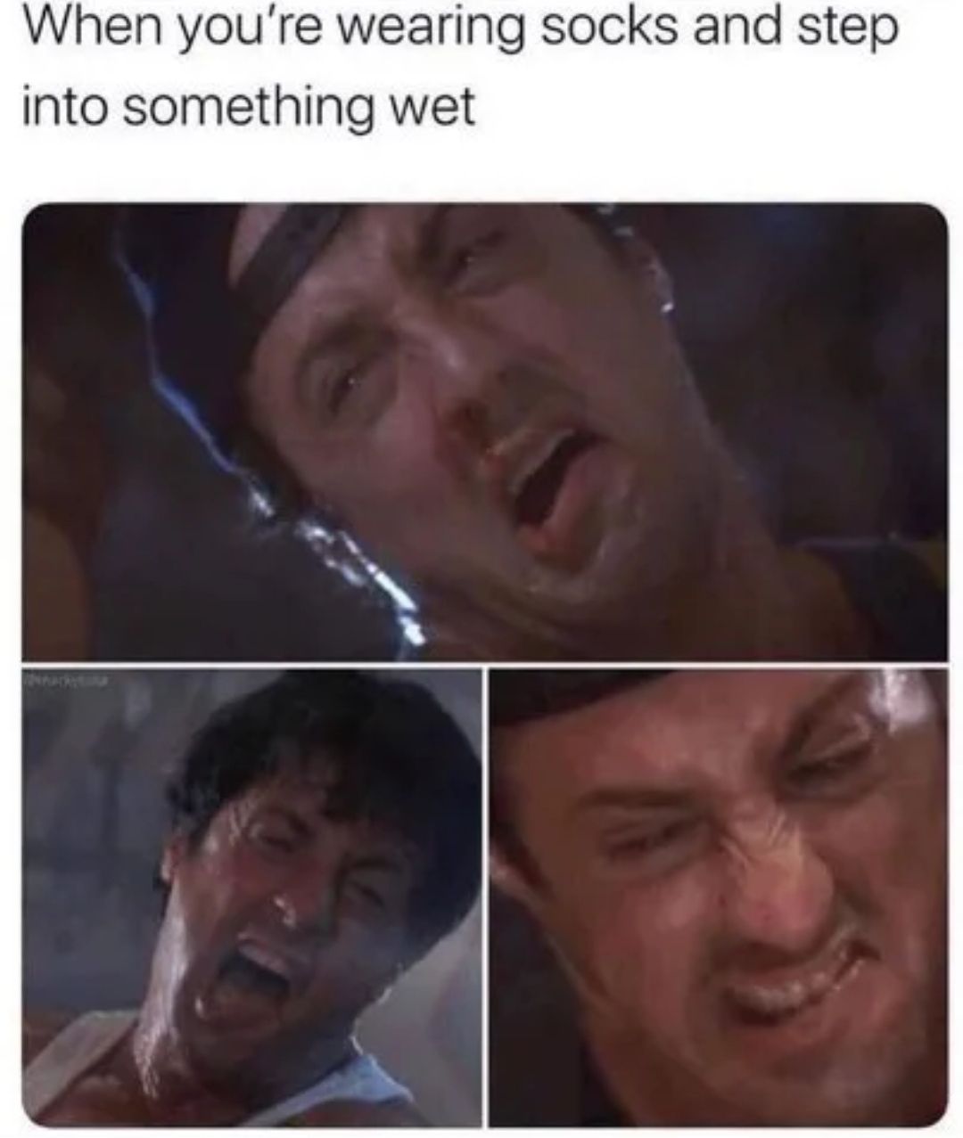Especially if it's dog shit