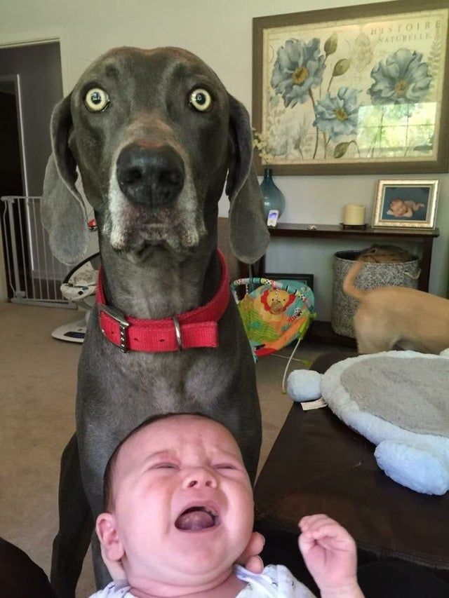 Mom! You've made a huge mistake!