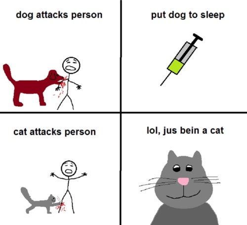 The real difference between cats and dogs...