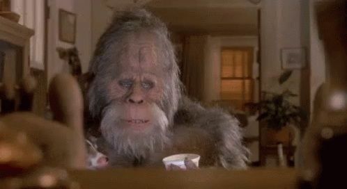 Harry at your summer cottage up north watching the pickle rick episode.