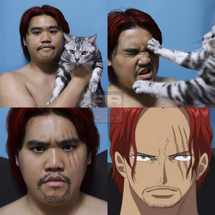 Lonely man and his angry cat