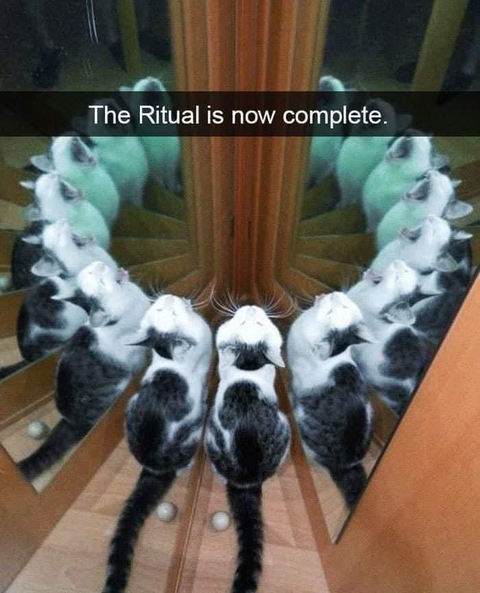 The ritual is now complete.