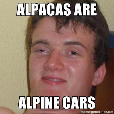 My friend actually said this while driving past alpacas
